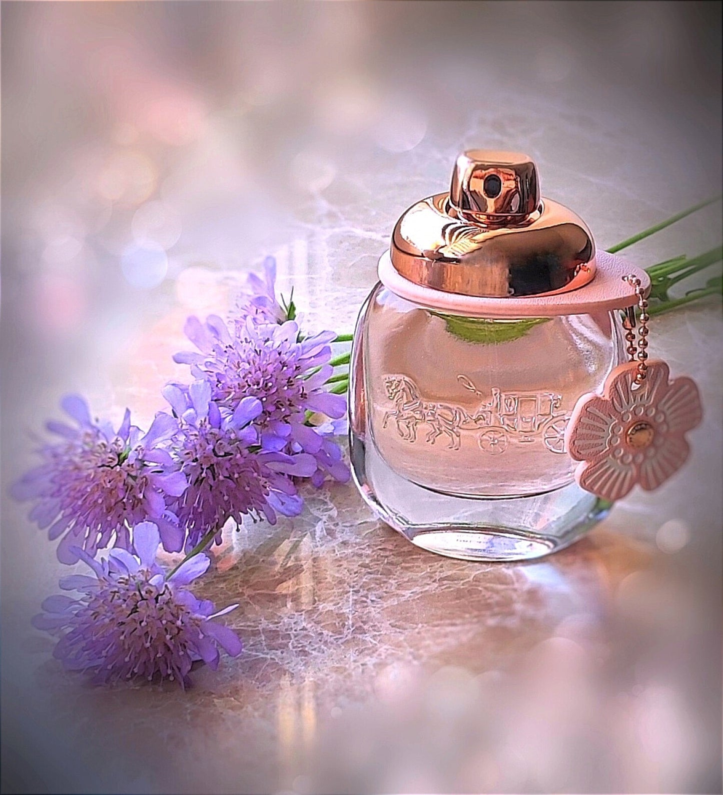 Coach New York Floral 3.0 oz