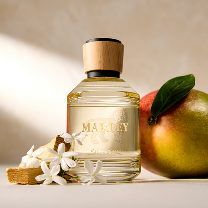 Michael Malul Marley Soul Rebel unisex 3.4 oz